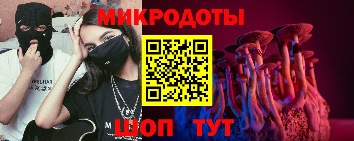 Саянск  Псилоцибиновые грибы MAGIC MUSHROOMS  Вход с VPN 